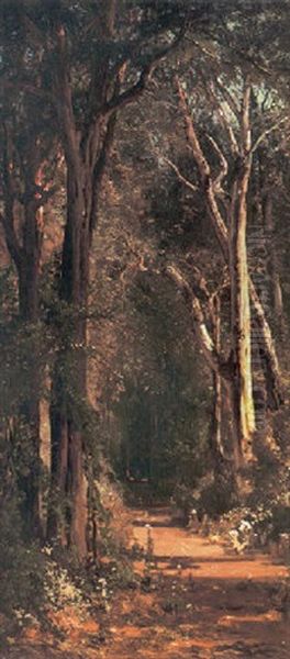 A Sunlit Path Through The Woods Oil Painting by Thomas Hill