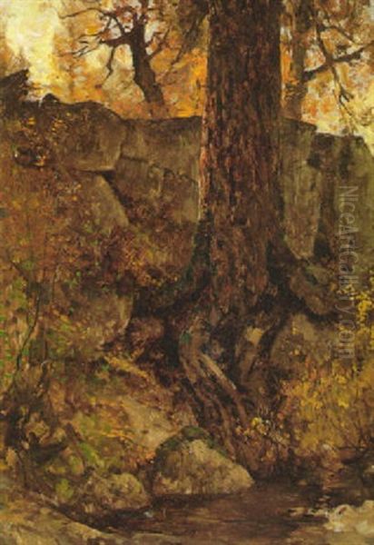 Old Tree Near A Pool In A Forest Oil Painting by Thomas Hill