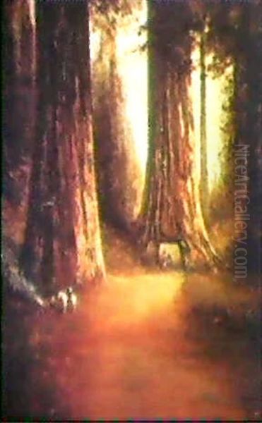 Redwoods At Yosemite Oil Painting by Thomas Hill