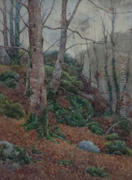 Woodland Scene Oil Painting by Ralph William Bardill