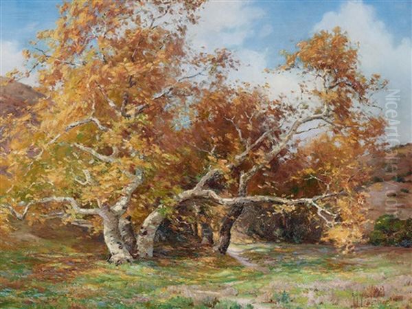 Trees In Laguna Canyon Oil Painting by Anna Althea Hills