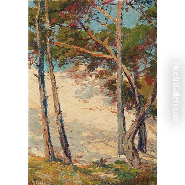 Pines Near Pacific Grove Oil Painting by Anna Althea Hills