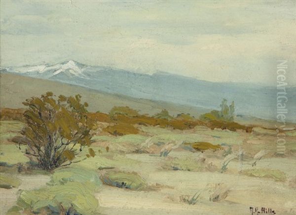 Shrubs In A Snow Capped Landscape Oil Painting by Anna Althea Hills