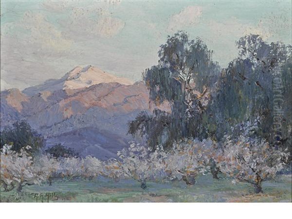 Evening Glow, Mount San Jacinto With Flowering Almond Trees Oil Painting by Anna Althea Hills