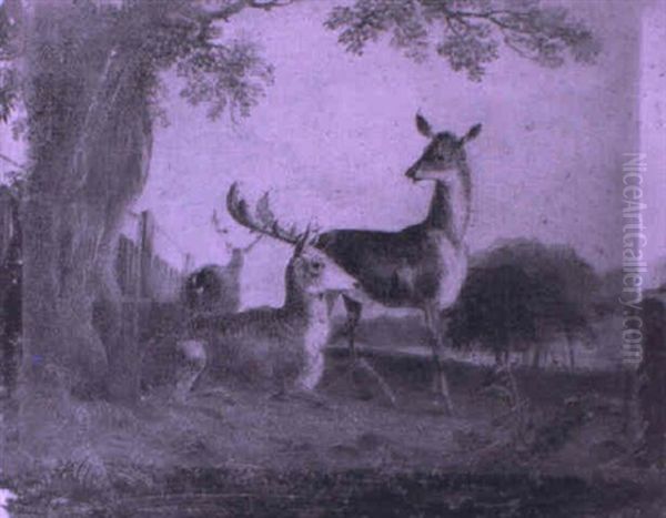 Landscape With Deer Resting Under A Tree by Robert Hills