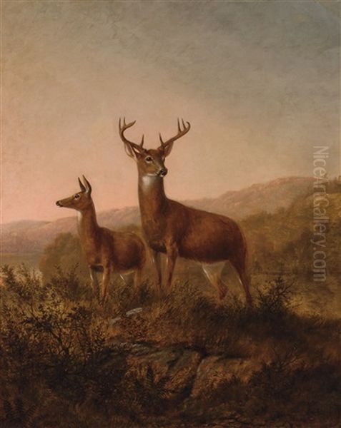 Two Deer At Sunset Oil Painting by Thomas Hewes Hinckley