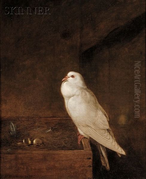 Pigeon And Nest Oil Painting by Thomas Hewes Hinckley