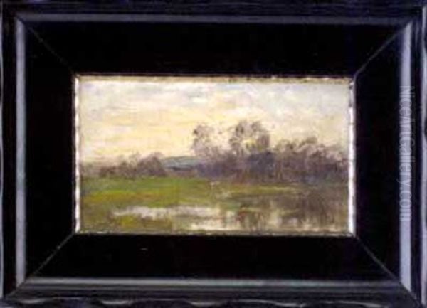 Aus Der Hernau Bei Liefering Oil Painting by Franz Hinterholzer