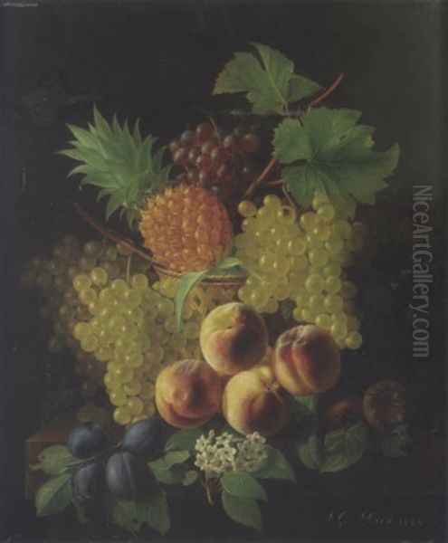 Corbeille De Vannerie Avec Fruits: Ananas, Peches, Prunes Et Grenades Sur Un Entablement Oil Painting by Jean Georges Hirn