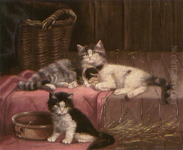 Drei Katzenkinder Oil Painting by Sophie Wilhelmina Hirschmann