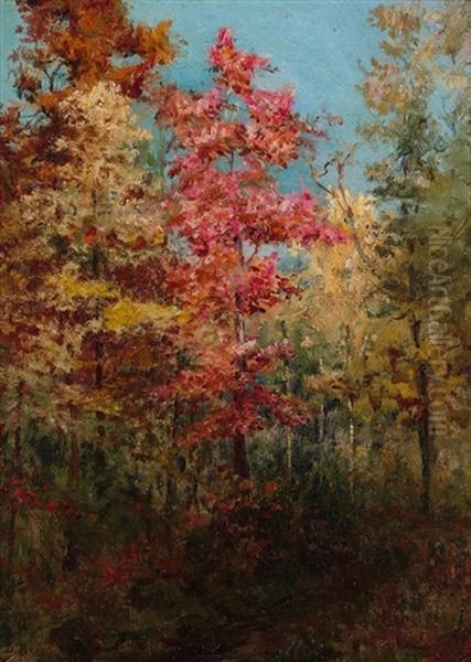 A Grove Of Trees Oil Painting by David Howard Hitchcock