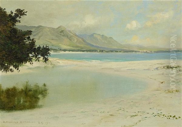 Hawaiian Coastal View Oil Painting by David Howard Hitchcock