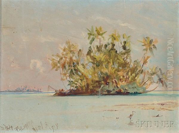 Palmyra Island Oil Painting by David Howard Hitchcock