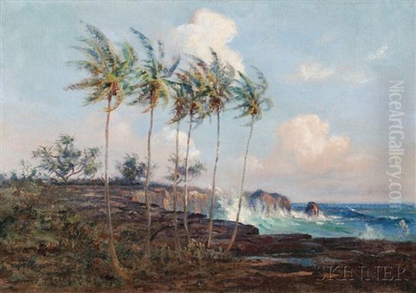 Big Island Of Hawaii Oil Painting by David Howard Hitchcock