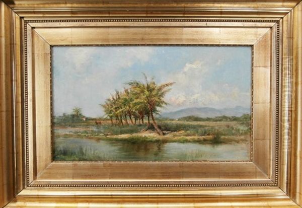 Hawaiian Landscape by David Howard Hitchcock