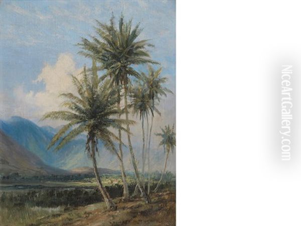 Coconut Palms, Manoa Valley From Kewalo Oil Painting by David Howard Hitchcock