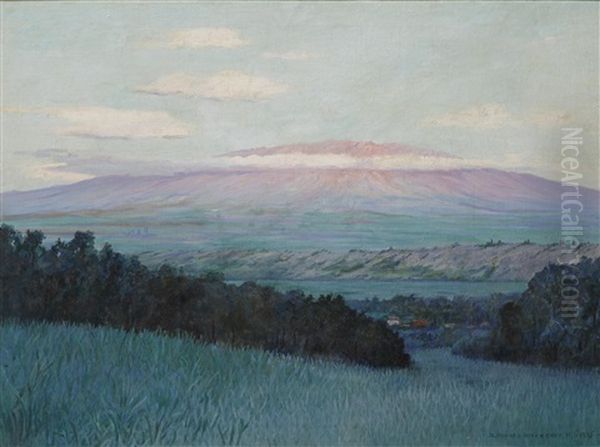 View Of Haleakala, Maui Oil Painting by David Howard Hitchcock