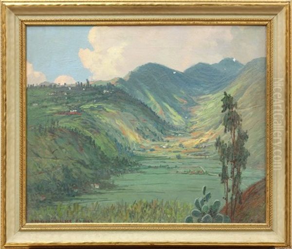 View Of Hawaiian Valley Oil Painting by David Howard Hitchcock