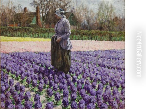 A Field Of Hyacinths, Holland Oil Painting by George Hitchcock