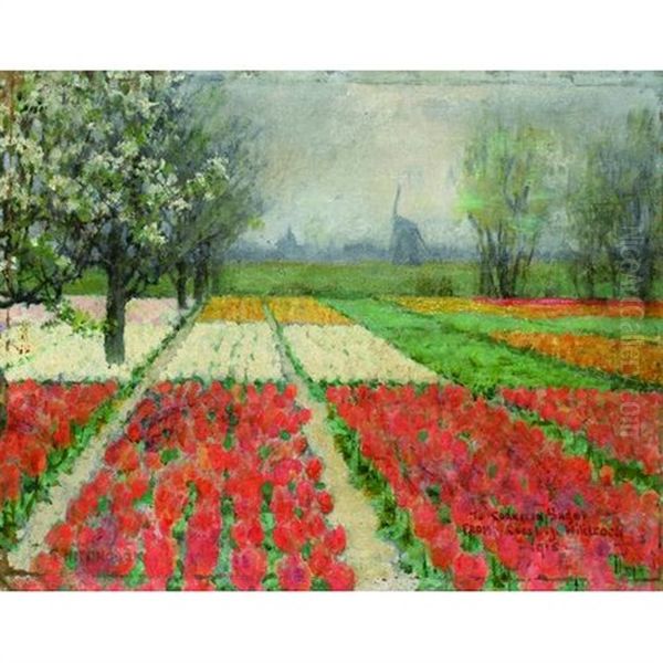 A View Of Tulip Beds In Bloom, Holland Oil Painting by George Hitchcock