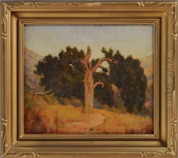 The Old Monte Vida Oak Oil Painting by Charles Jacob Hittell