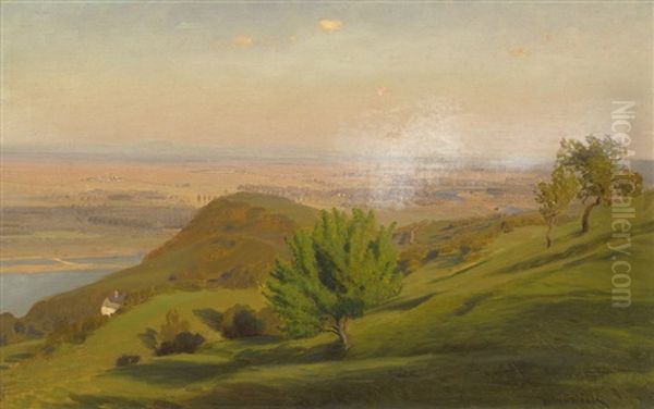 Blick Vom Bisamberg Auf Die Donau Bei Wien Oil Painting by Anton Hlavacek