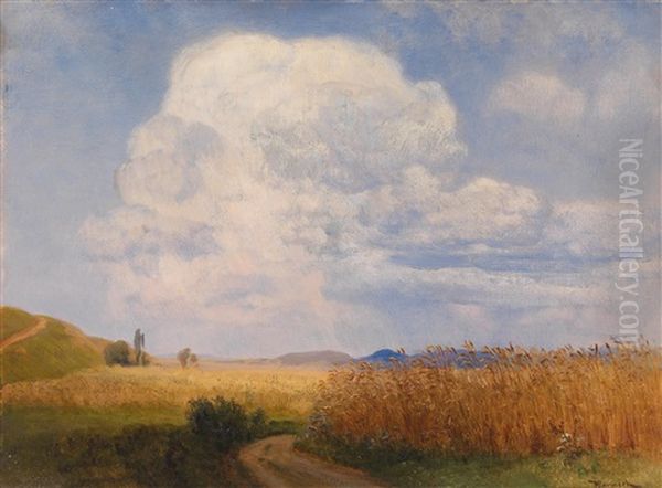 Aufsteigende Gewitterwolken Im Hochsommer (motiv Bei Puchberg Am Schneeberg) Oil Painting by Anton Hlavacek