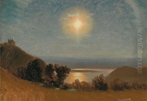 Vom Leopoldsberg, Kahlenberg Mit Dem Blick Ins Marchfeld Oil Painting by Anton Hlavacek