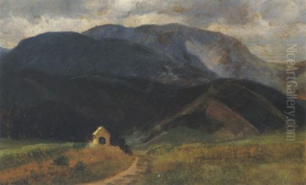 Blick Aus Der Gegend Bei Puchberg Gegen Den Schneeburg Oil Painting by Anton Hlavacek