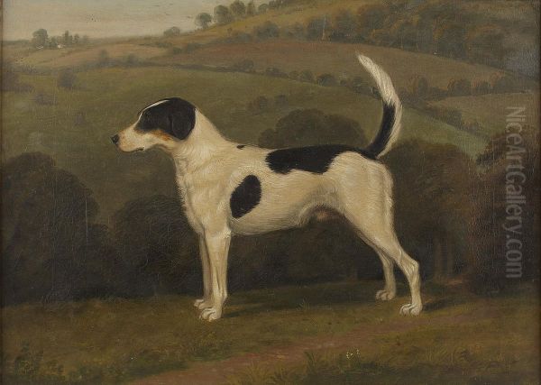 Forager, A Hound Oil Painting by James Barenger