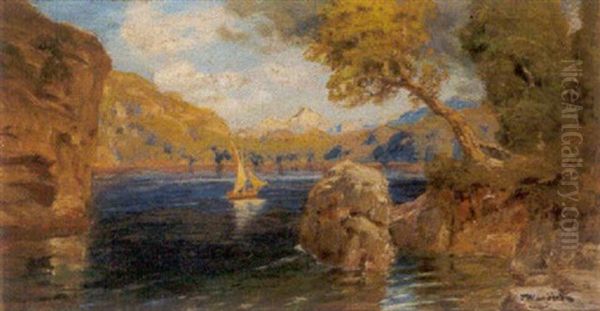 Motiv Am Luzerner See (schweiz) Oil Painting by Anton Hlavacek