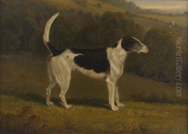 Rambler, A Hound Oil Painting by James Barenger