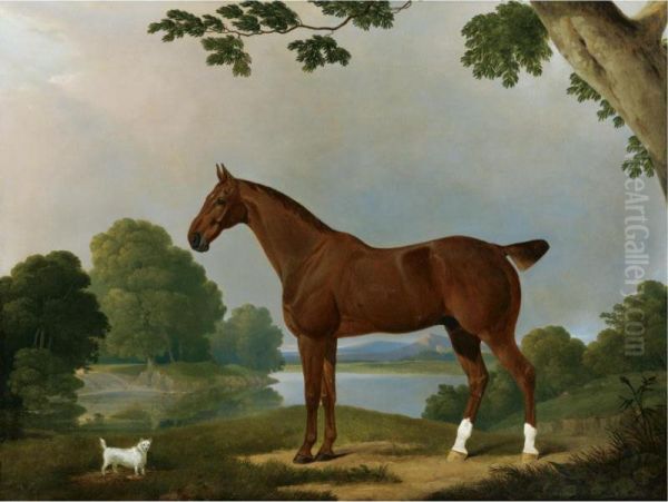 Aconbury, A Hunter, And Coaxer, A Terrier, In A Landscape Oil Painting by James Barenger