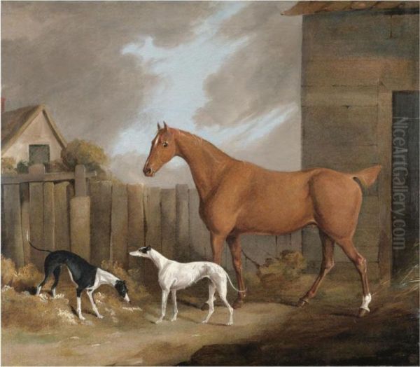 A Chestnut Hunter With Two Greyhounds In A Stable Yard Oil Painting by James Barenger