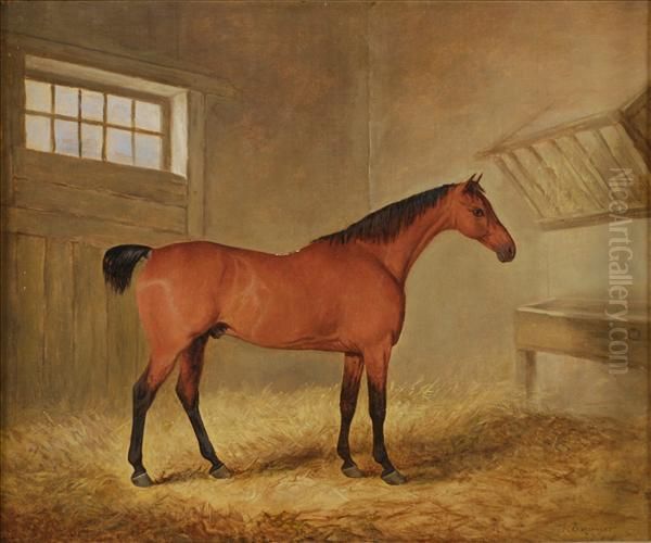 The Younger A Bay Hunter In A Stable Interior Oil Painting by James Barenger