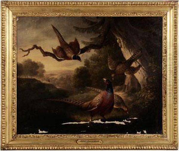 Pheasants In An Opening Oil Painting by James Barenger