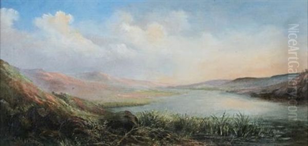 Lake Landscape In Summer Oil Painting by Joseph Hochrein-Kabosk