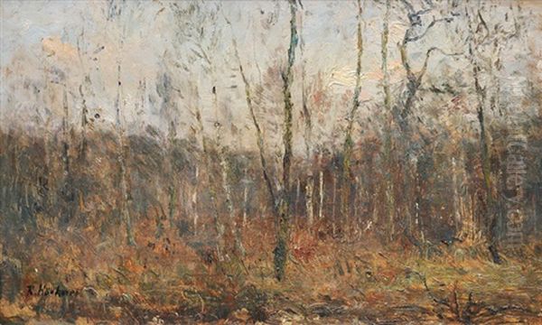 Wood In Early Spring Oil Painting by Rudolf Hoeckner