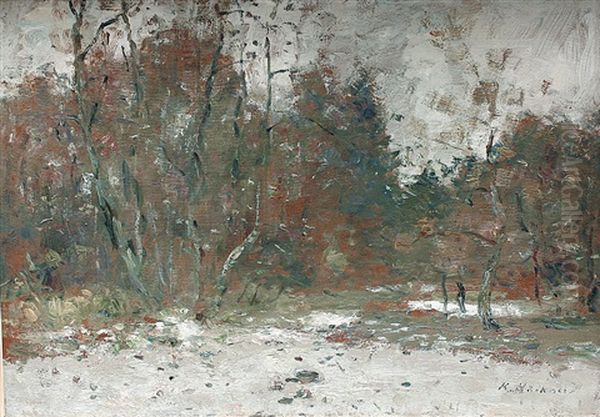 Wedeler Waldlichtung Im Spatwinter Oil Painting by Rudolf Hoeckner