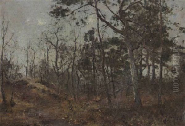 Sanddune Im Wedeler Wald Oil Painting by Rudolf Hoeckner