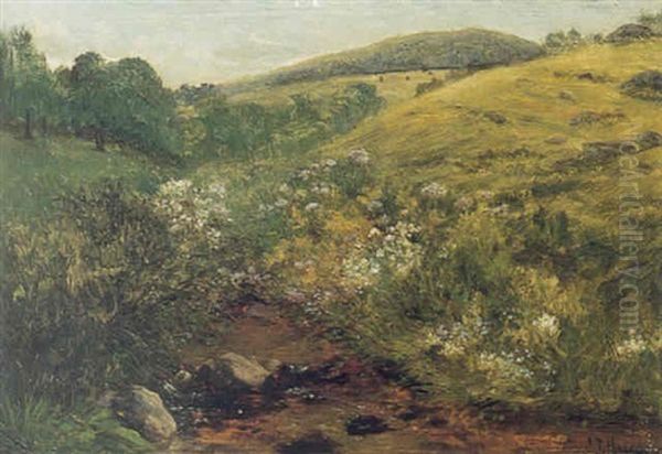 Wildflowers Near A Valley Stream Oil Painting by Sylvester Phelps Hodgdon