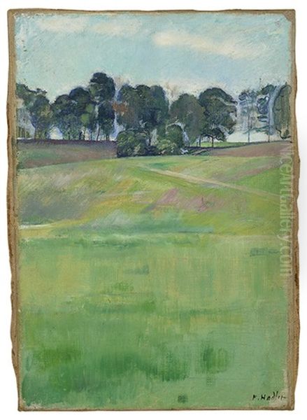 Wiesenlandschaft Mit Baumreihe Oil Painting by Ferdinand Hodler