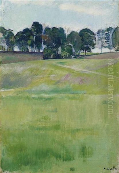 Wiesenlandschaft Mit Baumreihe Oil Painting by Ferdinand Hodler