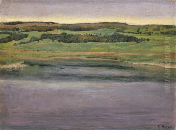 Lac De Joux (lake Joux) Oil Painting by Ferdinand Hodler