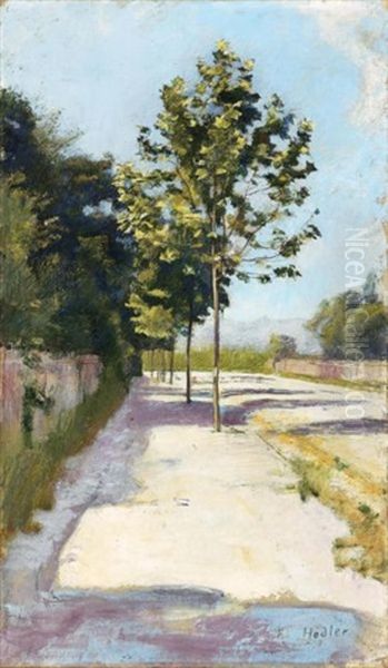 Strasse Von St. Georges (street In St. Georges) Oil Painting by Ferdinand Hodler