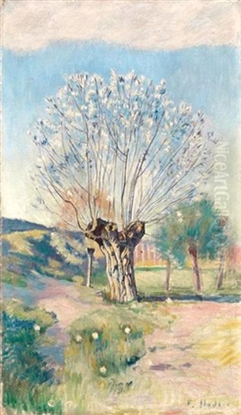 Weidenbaum Oil Painting by Ferdinand Hodler