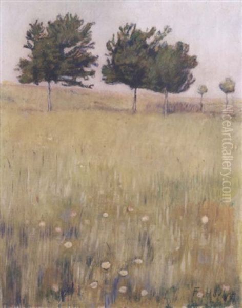 Wiese Mit Kirschbaumen Oil Painting by Ferdinand Hodler