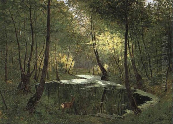 Rehgeiss Am Waldteich Oil Painting by Max Hoenow