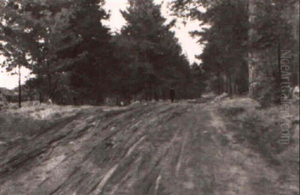 Postbote Auf Einem Waldweg by Max Hoenow