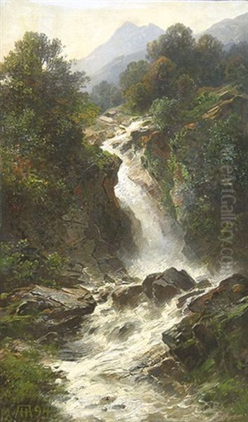 Wasserfall Im Gebirge. Oil Painting by August Hoerter